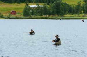 1185108_406086666169356_444693364_n