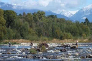 phoca_thumb_l_dscf4108w