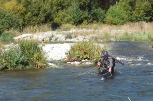 phoca_thumb_l_dscf4120w