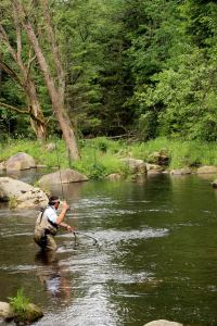 10300698_239836659539328_1221179945443895875_n